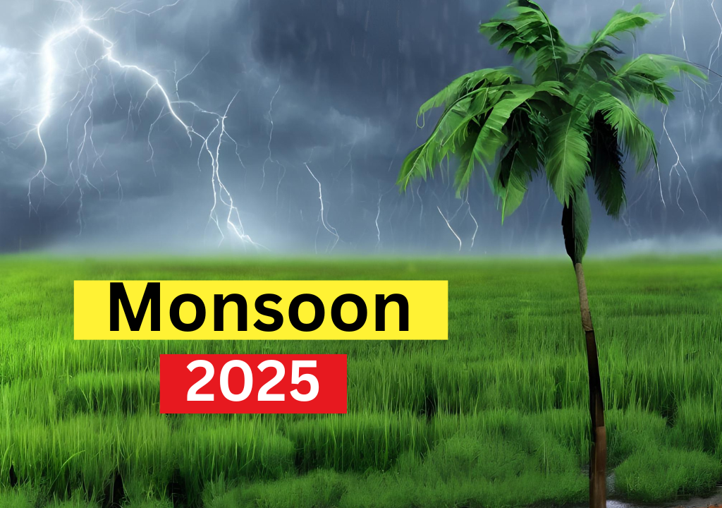 Monsoon 2025 Brief Insight