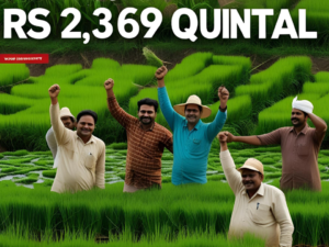 Paddy MSP Hike 2025-26 Govt Raises Support Price by 3% Brief Insight